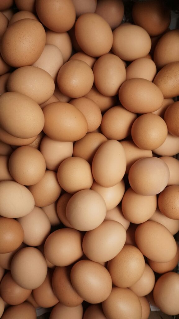 egg
